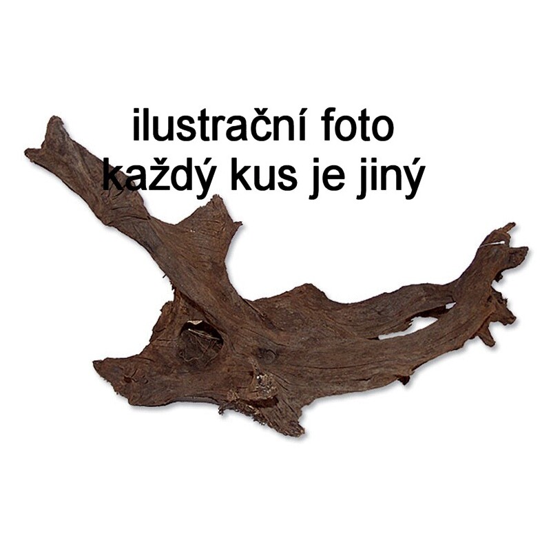 Kořen M 20-35 cm