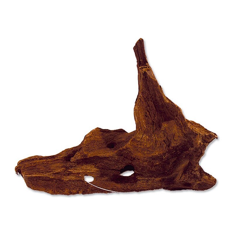 Kořen M 20-35 cm