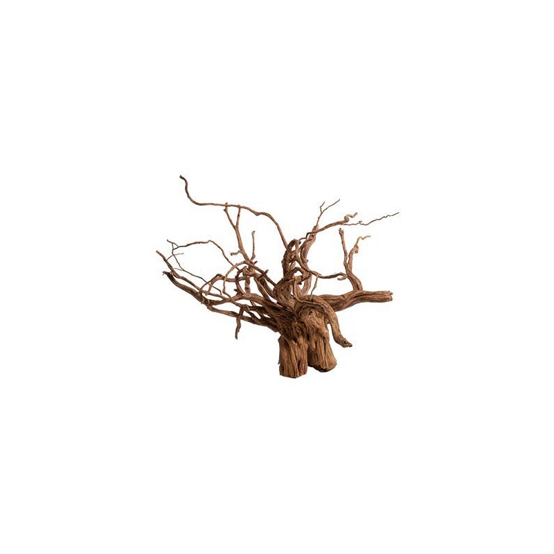 Red moor wood - kořen velký