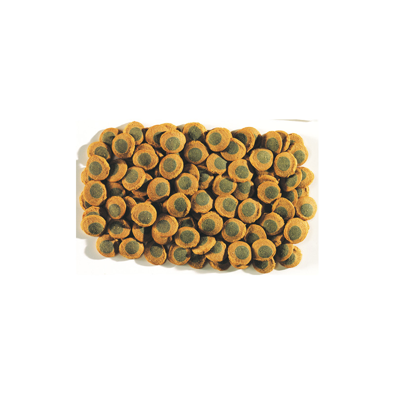 Tetra Pleco Spirulin Wafers 250ml
