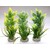 Rostlina Aquaplant medium 22 cm