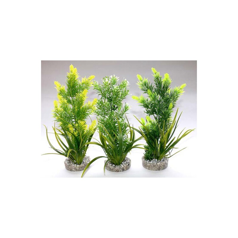 Rostlina Aquaplant medium 22 cm