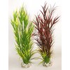 Rostlina Wild Mountain 39 cm