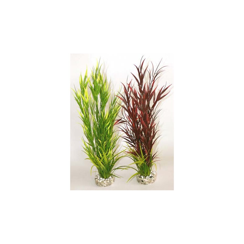 Rostlina Wild Mountain 39 cm