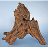 Kořen Mangrove L 35-60 cm