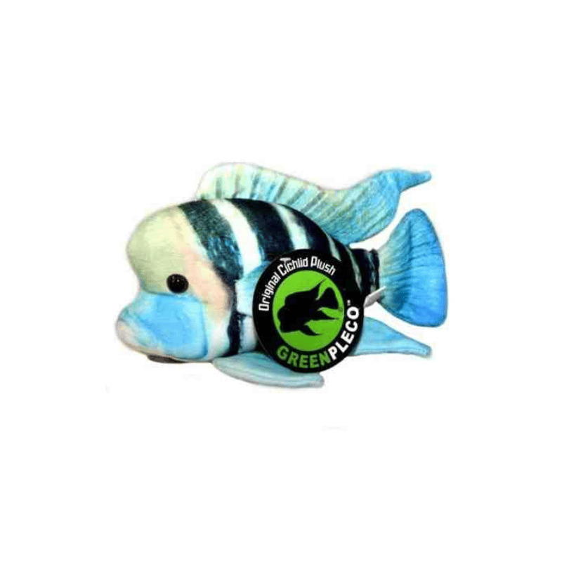 Plyšák Frontosa cichlid