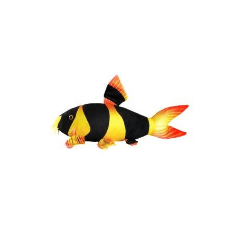 Plyšák Clown loach