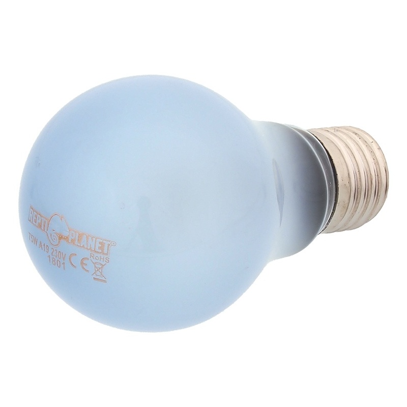 Žárovka REPTI PLANET Daylight Neodymium 75 W