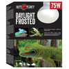 Žárovka REPTI PLANET Daylight Frosted 75 W