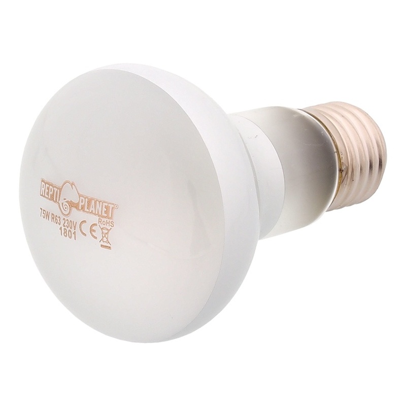 Žárovka REPTI PLANET Daylight Frosted 75 W