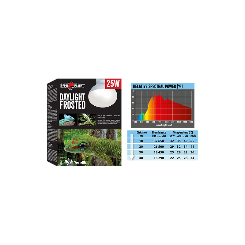 Žárovka REPTI PLANET Daylight Frosted 75 W