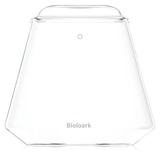 Bubble Cup TWO