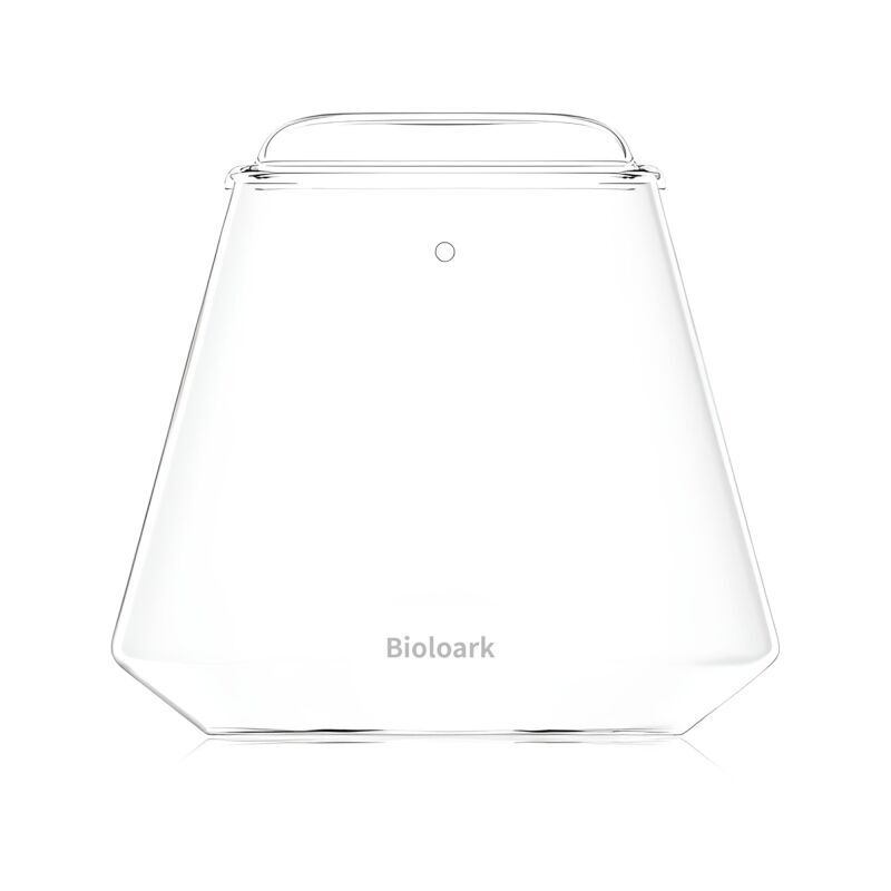 Bubble Cup TWO