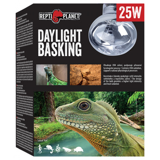 Žárovka REPTI PLANET Daylight Basking Spot 25W