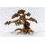 Aqua bonsai M
