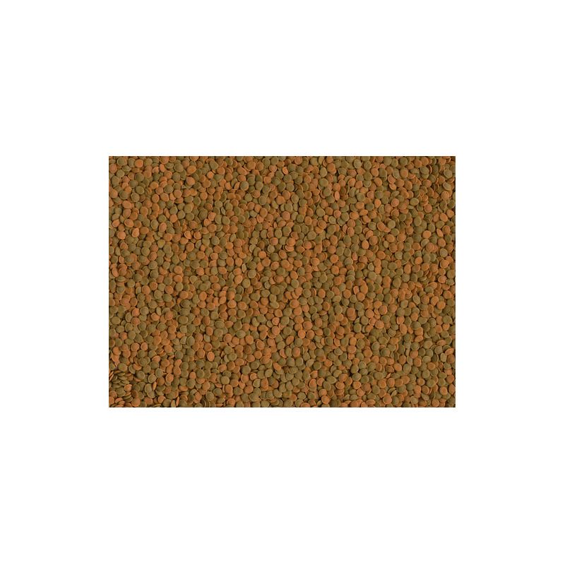 Tetra Wafer Mini Mix 100ml