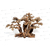 Forest bonsai L