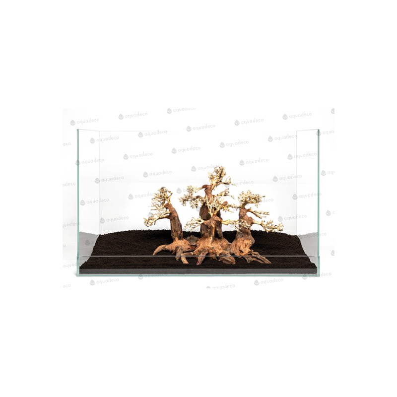 Forest bonsai L