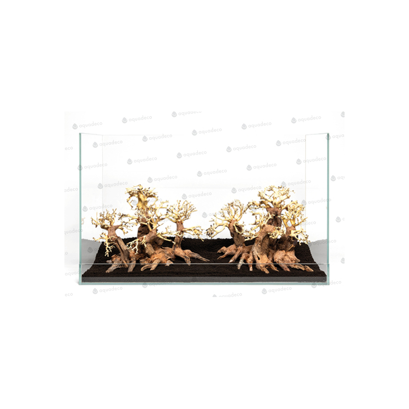 Forest bonsai L