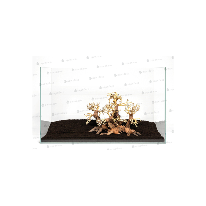 Forest bonsai L
