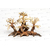 Forest bonsai S
