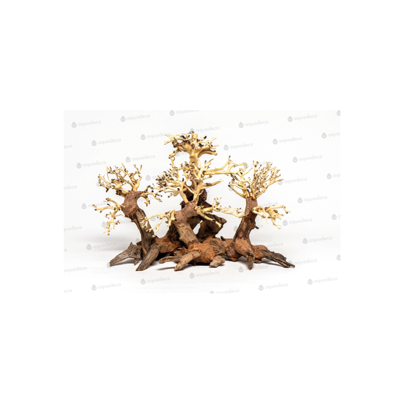 Forest bonsai S