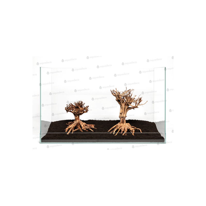 Mammut bonsai M