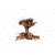 Mammut bonsai S