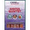 Mražené krmivo Discus Quintet 100g - BLISTR
