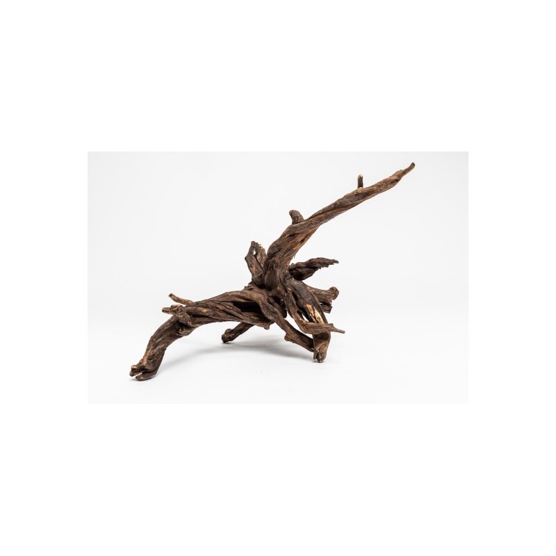 Kořen Black Slim Wood S 15-25 cm