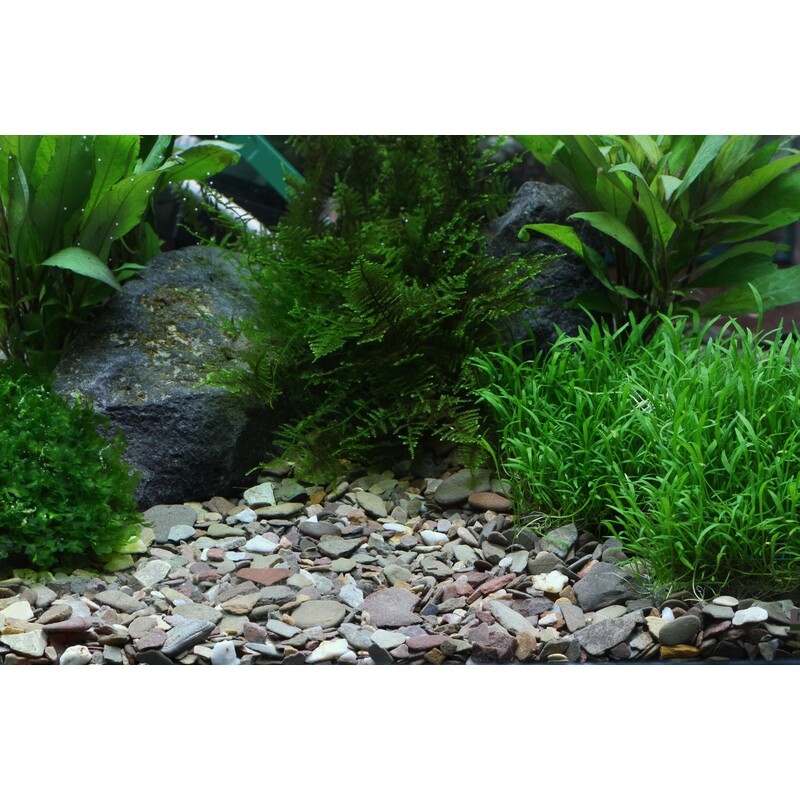 DENNERLE Přírodní štěrk Rio Xingu 2-22 mm 2,5 kg