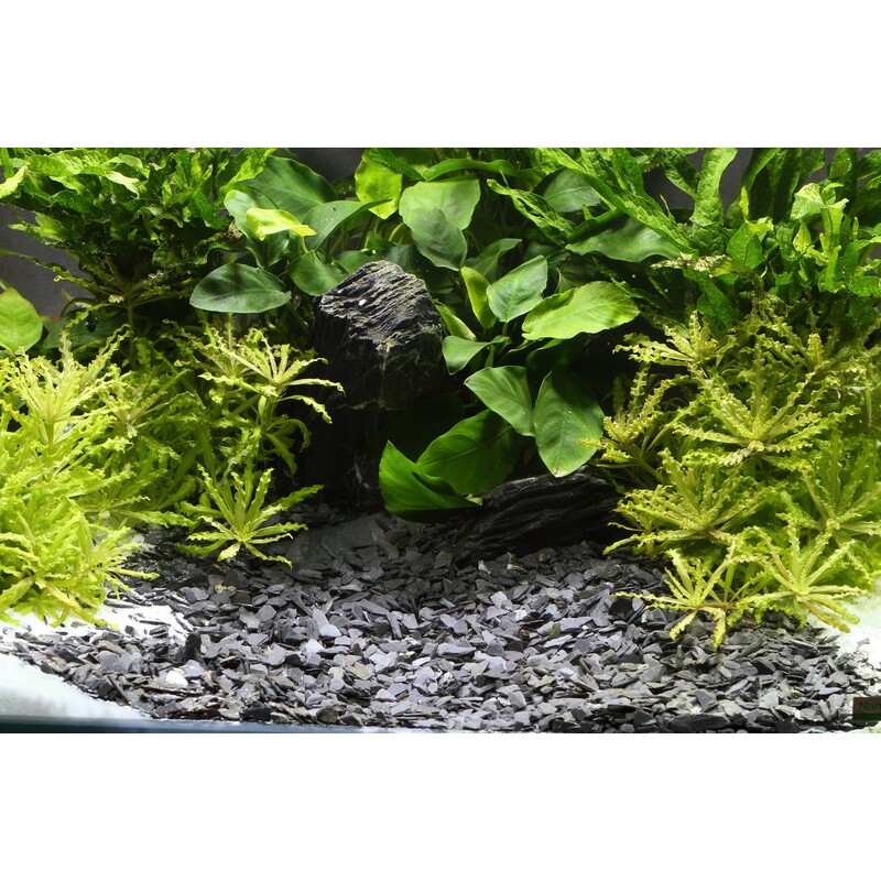 DENNERLE Přírodní štěrk Kongo 3-8 mm 2,5 kg