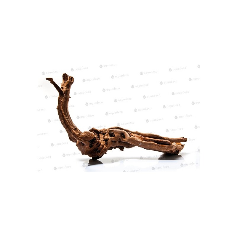 Kořen říční M 25-40cm