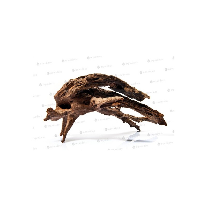 Kořen říční M 25-40cm