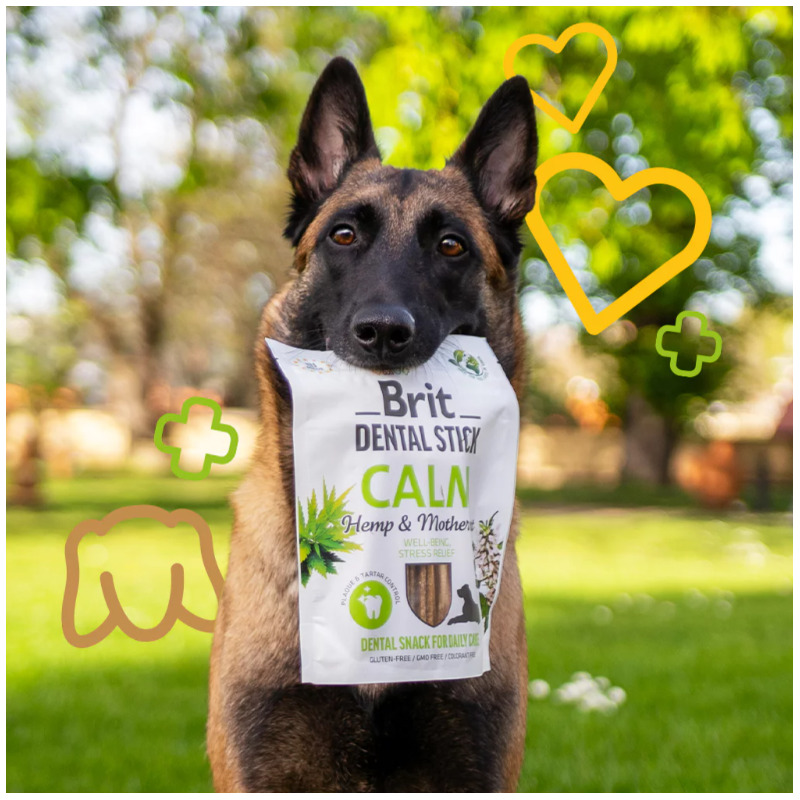 Brit Dental Stick Calm with Hemp & Motherwort 7 pcs 251 g 
