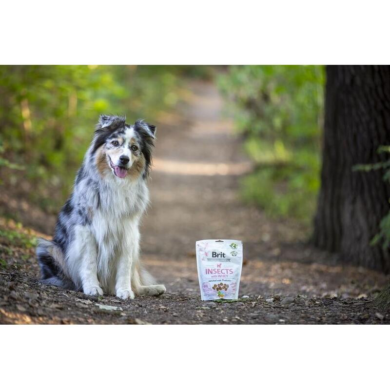 Brit Care Dog Crunchy Cracker Puppy Insects with Whey enriched with Probiotics 200 g