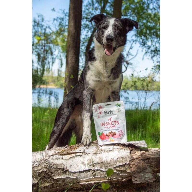 Brit Care Dog Crunchy Cracker Insects with Lamb enriched with Raspberries 200 g