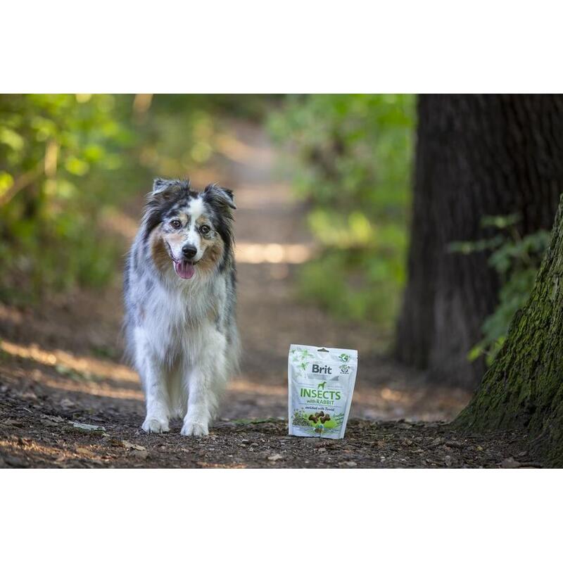 Brit Care Dog Crunchy Cracker Insects with Rabbit enriched with Fennel 200 g