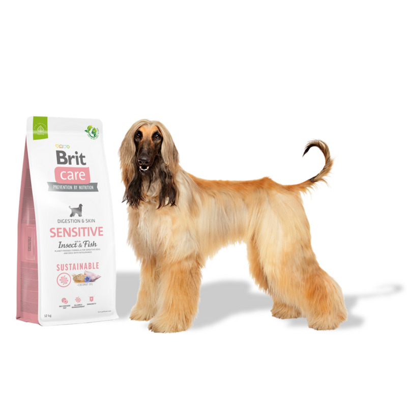 Brit Care Dog Sustainable Sensitive 12 kg 