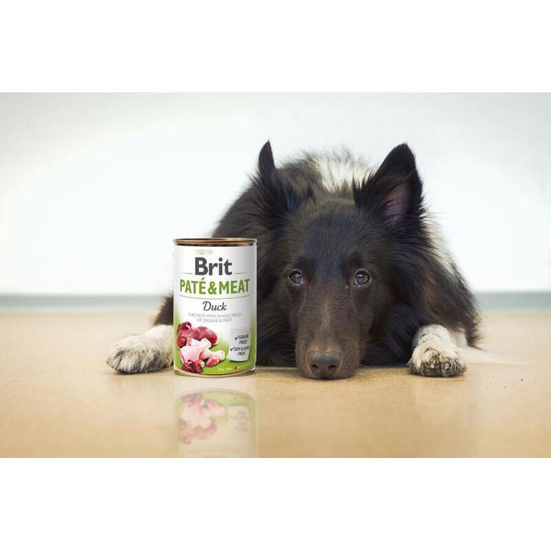 Brit Paté & Meat Dog Duck 400 g