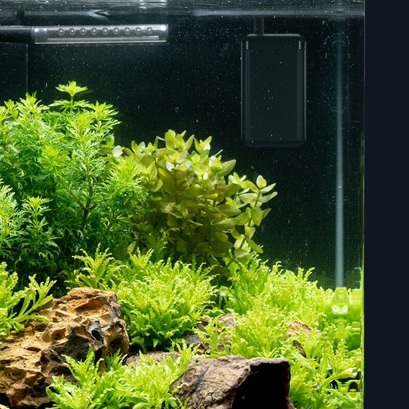 Dennerle Konstantní ohřívač, 50 W