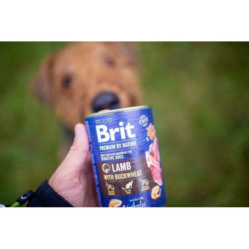 Brit Premium by Nature Lamb with Buckwheat 400 g