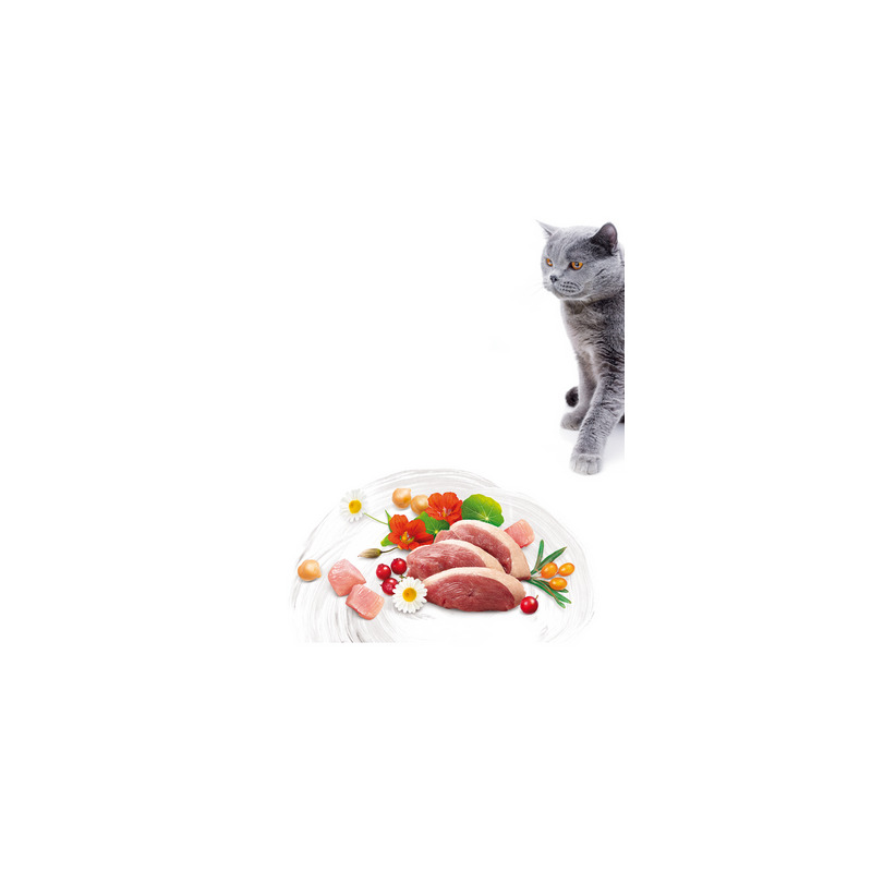 Brit Care Cat Grain-Free Sterilized Weight Control 7 kg