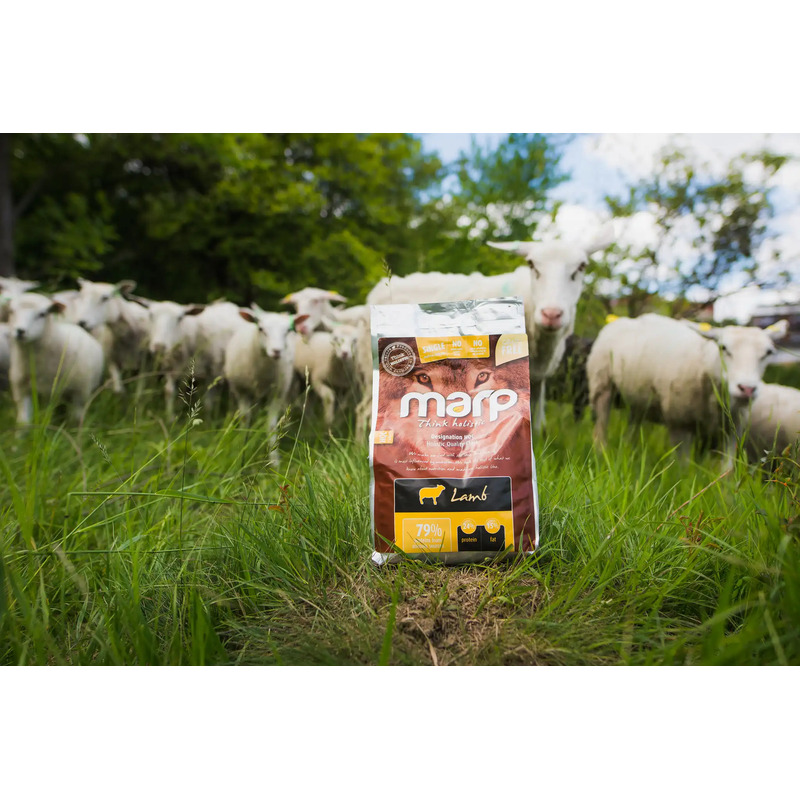 Marp Holistic Lamb - Jehněčí bez obilovin 2 kg