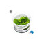 Tropica Riccardia chamedryfolia 1-2 Grow!